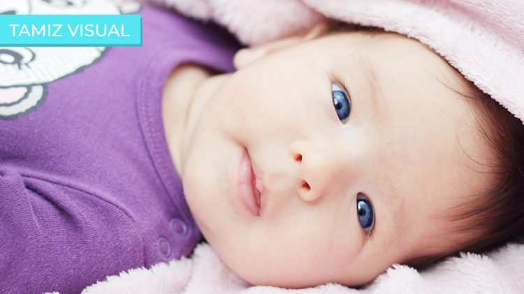 tamiz visual en Mérida